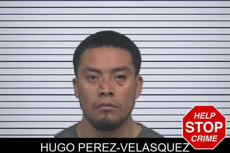 Hugo Perez-Velasquez