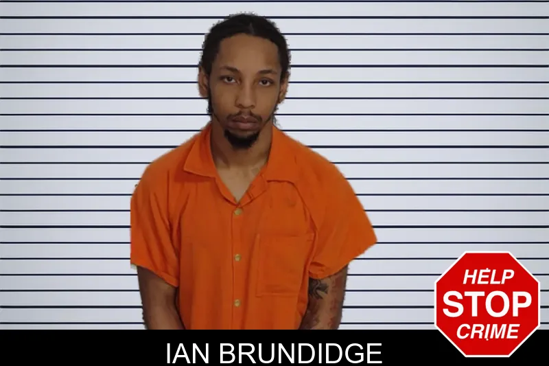 Ian Brundidge mugshot