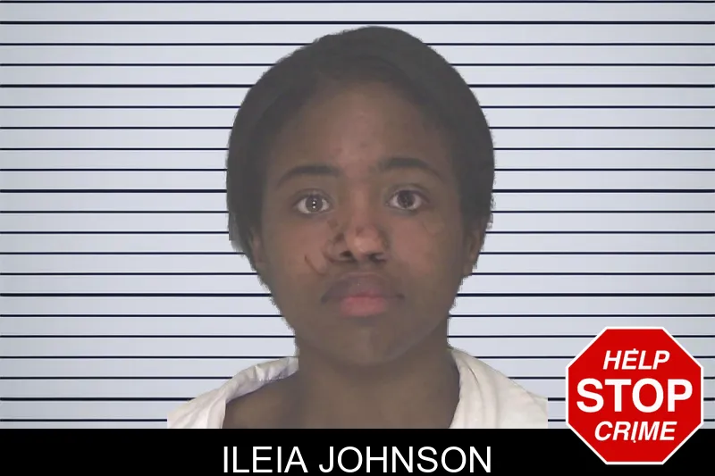 Ileia Johnson mugshot