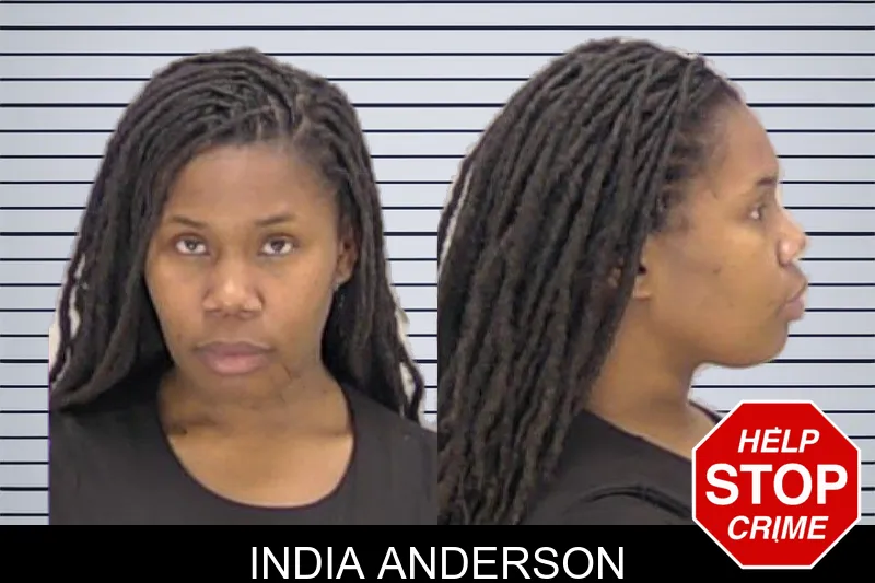 India Anderson mugshot