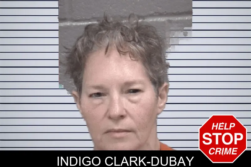 Indigo Clark-Dubay mugshot