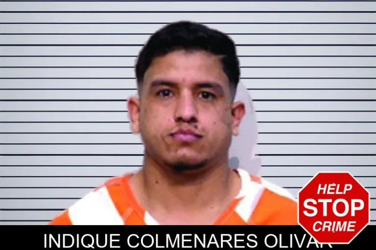 Indique Colmenares Olivar mugshot – Bartow County , Georgia Indique Colmenares Olivar
