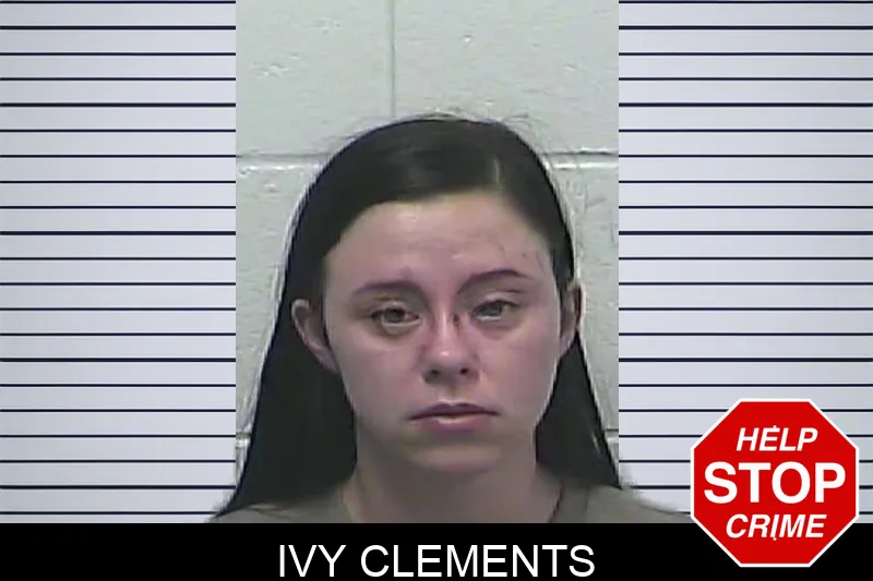 Ivy Clements mugshot