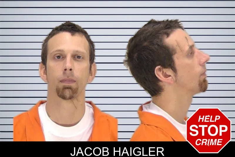 Jacob Haigler mugshot
