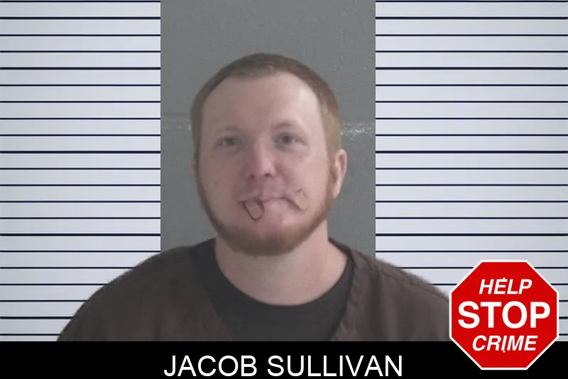 Jacob Sullivan mugshot – Brantley County , Georgia Jacob Sullivan mugshot