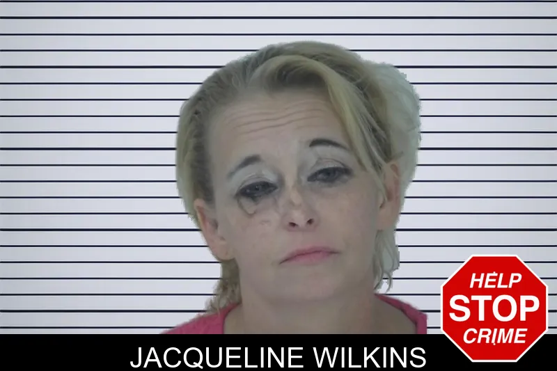 Jacqueline Wilkins mugshot