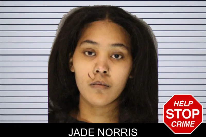 Jade Norris mugshot
