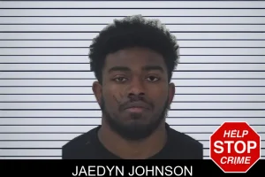 Jaedyn Johnson mugshot