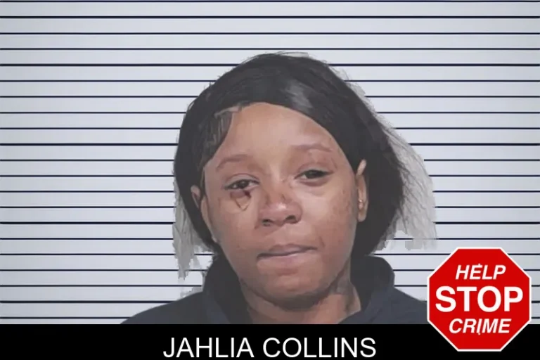 Jahlia Collins mugshot – Lowndes County , Georgia Jahlia Collins