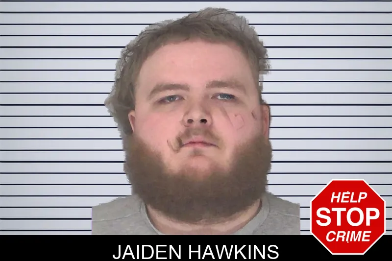 Jaiden Hawkins mugshot