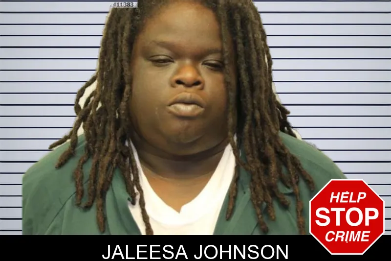 Jaleesa Johnson mugshot – Chatham County , Georgia Jaleesa Johnson mugshot