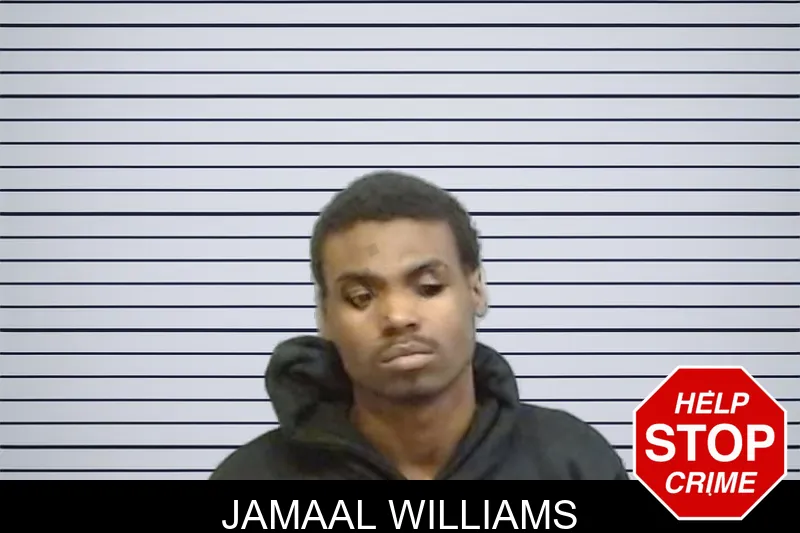 Jamaal Williams mugshot – Fulton County , Georgia Jamaal Williams mugshot