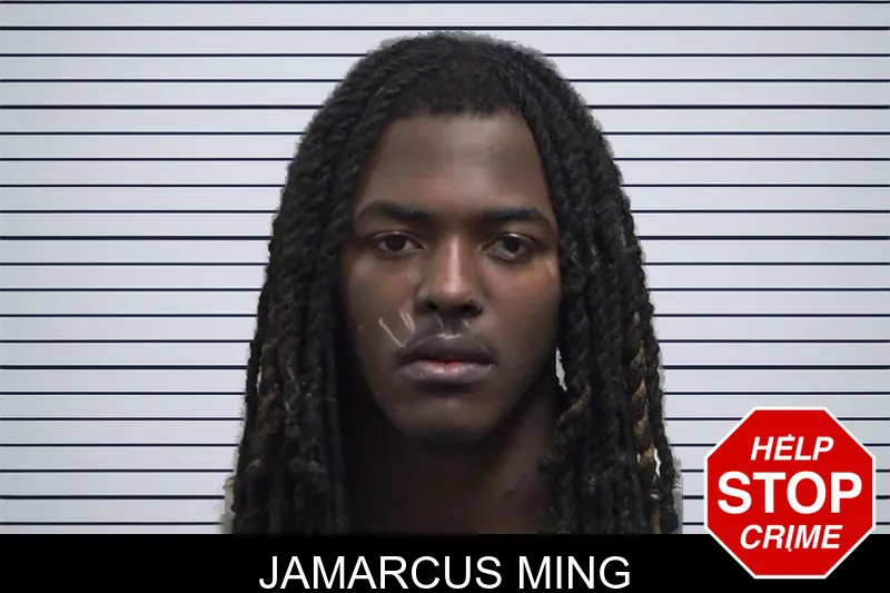 Jamarcus Ming mugshot