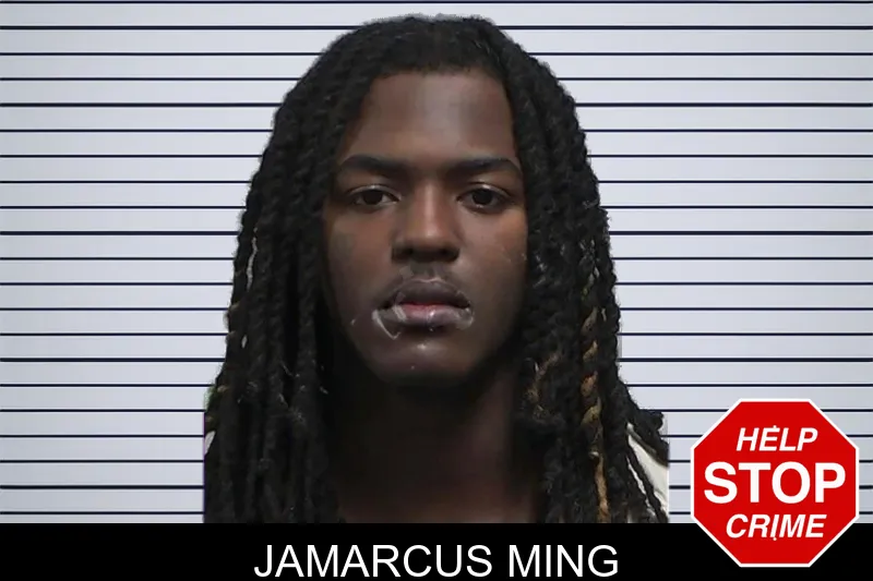 Jamarcus Ming mugshot