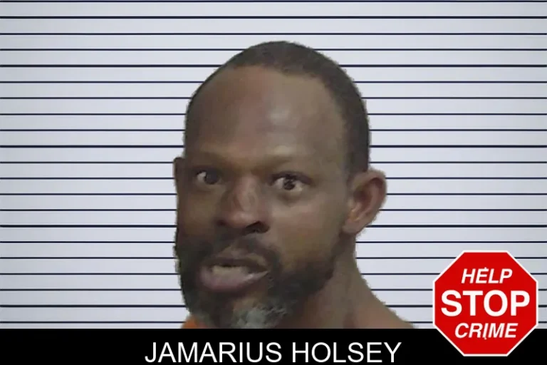 Jamarius Holsey mugshot – Wayne County , Georgia Jamarius Holsey