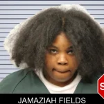 Jamaziah Fields mugshot