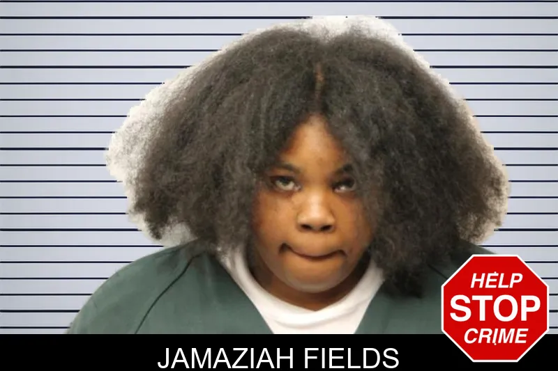 Jamaziah Fields mugshot