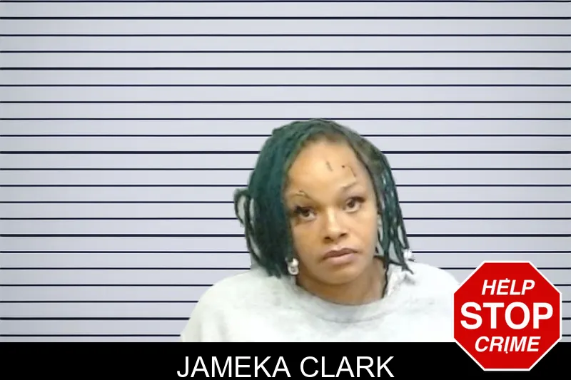Jameka Clark mugshot