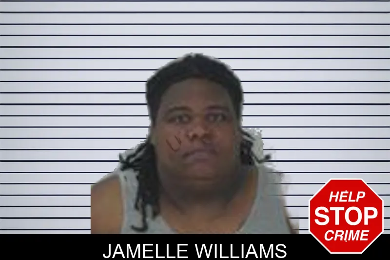 Jamelle Williams mugshot