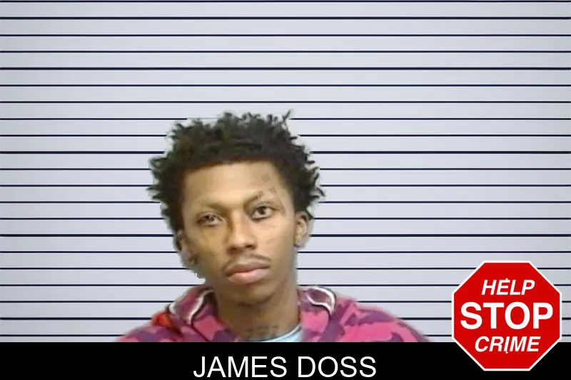James Doss mugshot