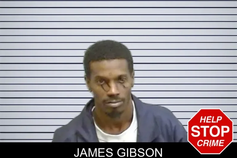 James Gibson