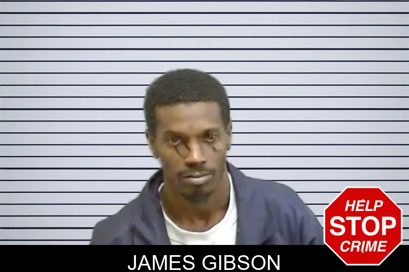 James Gibson mugshot