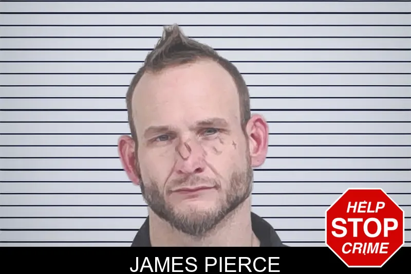James Pierce mugshot – Lowndes County , Georgia James Pierce mugshot