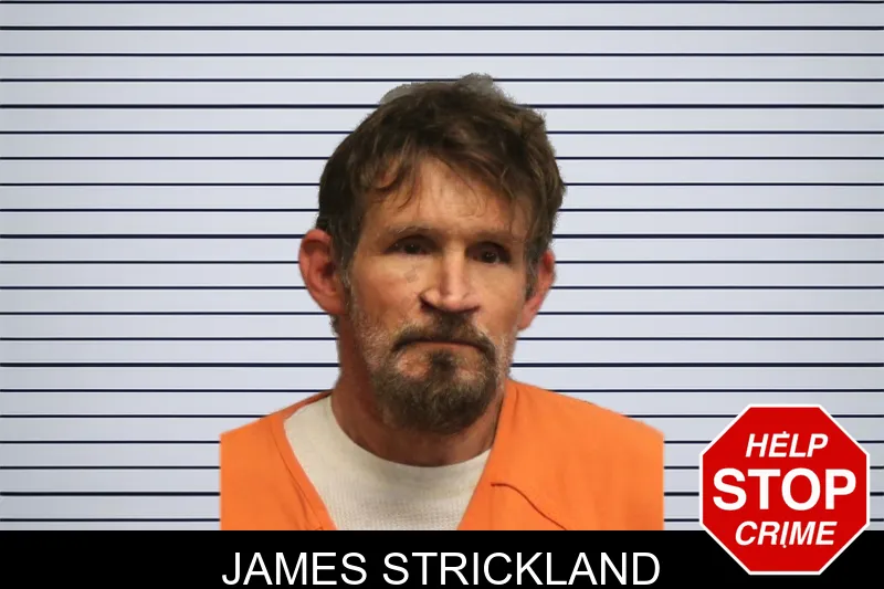 James Strickland mugshot