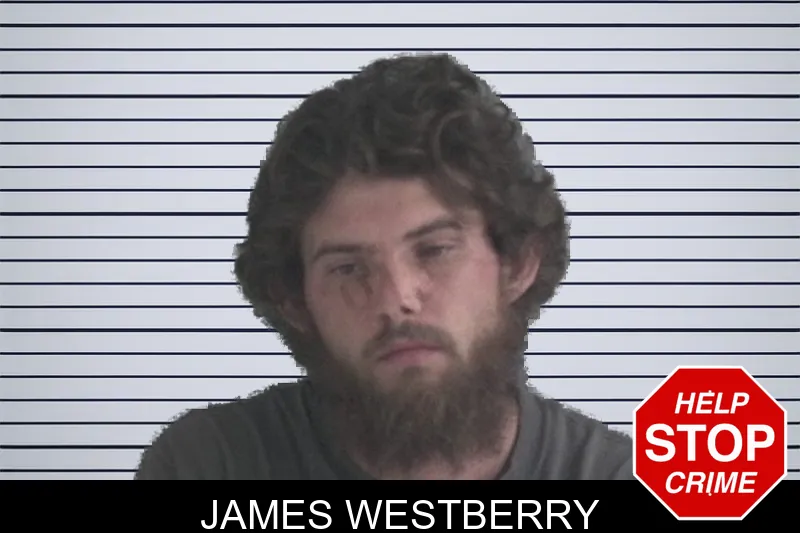 James Westberry mugshot – Brantley County , Georgia James Westberry mugshot
