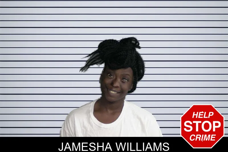 Jamesha Williams mugshot – Twiggs County , Georgia Jamesha Williams mugshot