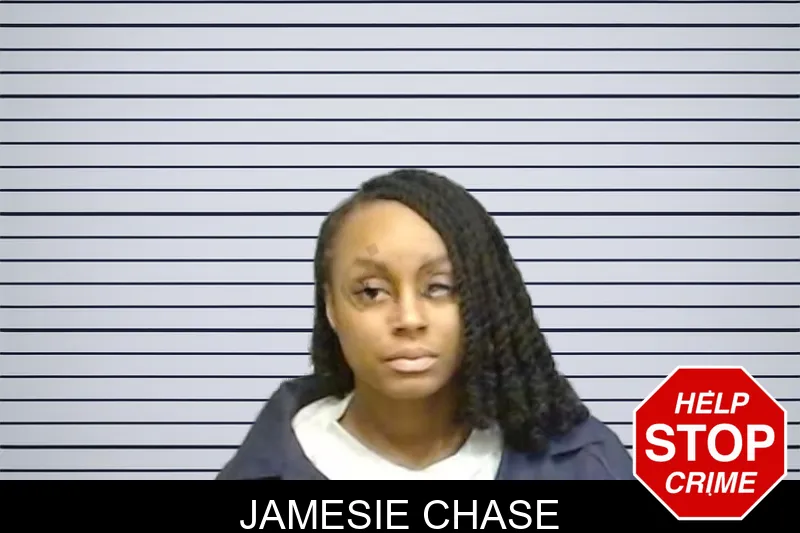 Jamesie Chase mugshot – Fulton County , Georgia Jamesie Chase mugshot
