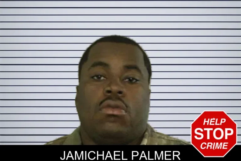 Jamichael Palmer