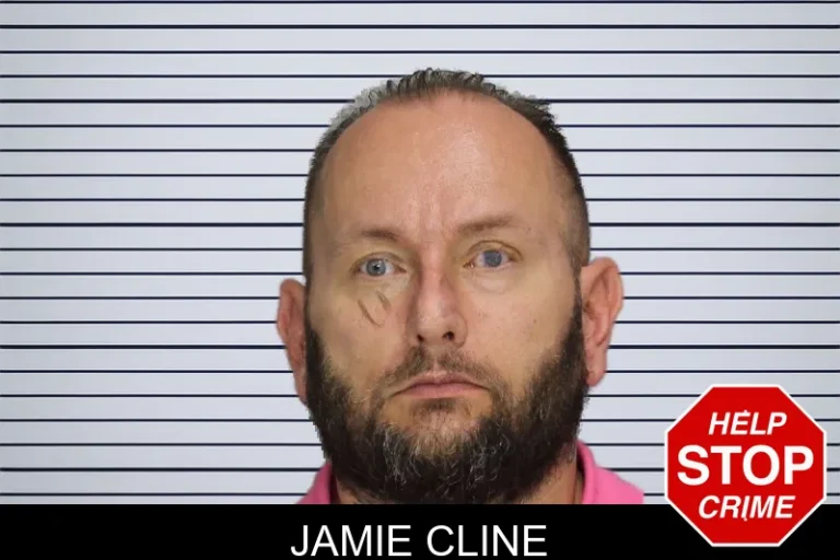 Jamie Cline