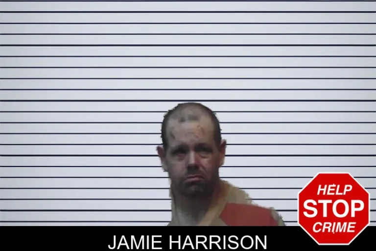 Jamie Harrison mugshot – Meriwether County , Georgia Jamie Harrison