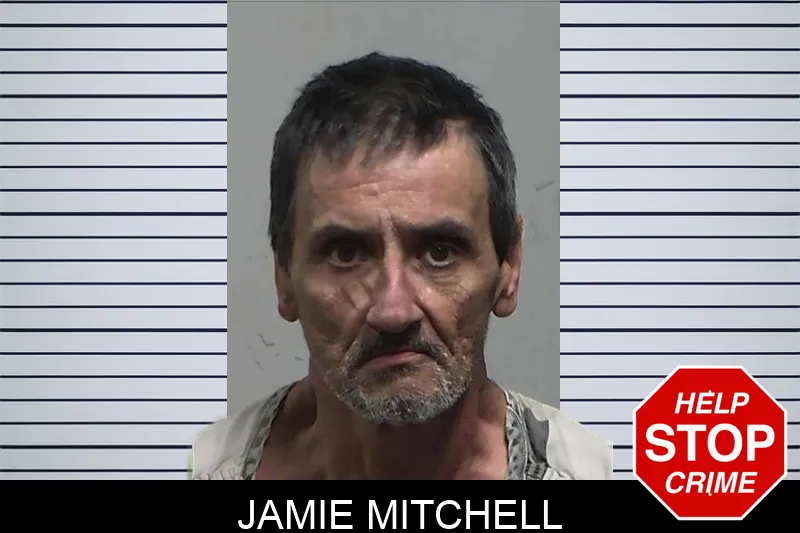 Jamie Mitchell mugshot – Tift County , Georgia Jamie Mitchell mugshot