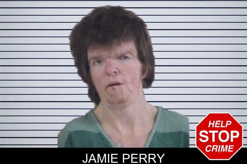 Jamie Perry mugshot