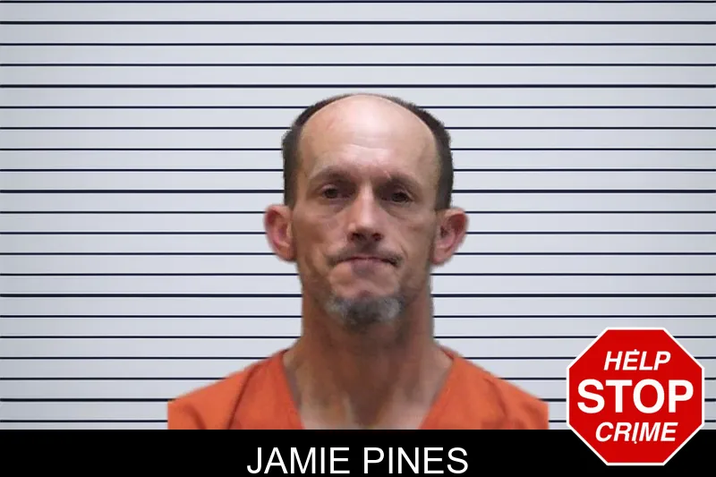 Jamie Pines mugshot