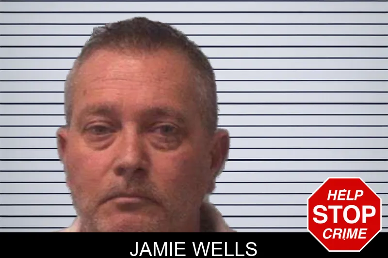 Jamie Wells mugshot – Franklin County , Georgia Jamie Wells mugshot