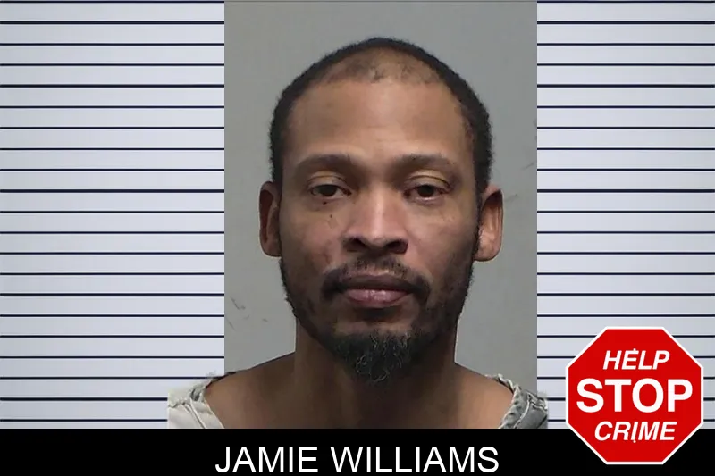 Jamie Williams mugshot – Tift County , Georgia Jamie Williams mugshot