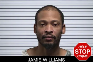Jamie Williams mugshot