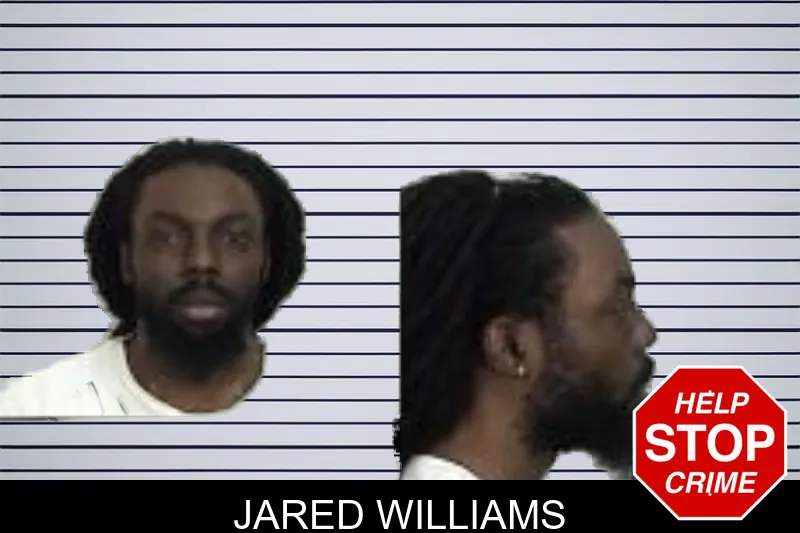 Jared Williams mugshot – Camden County , Georgia Jared Williams mugshot