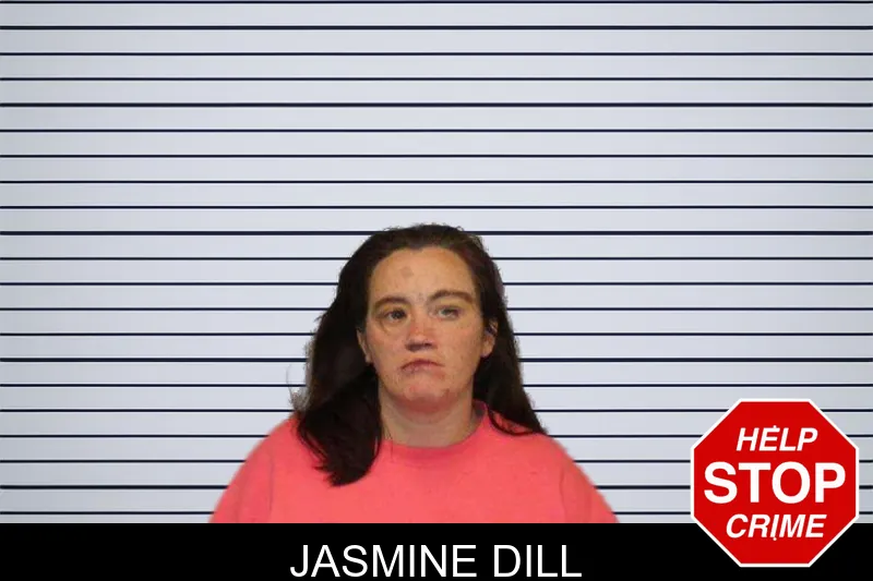 Jasmine Dill mugshot – White County , Georgia Jasmine Dill mugshot