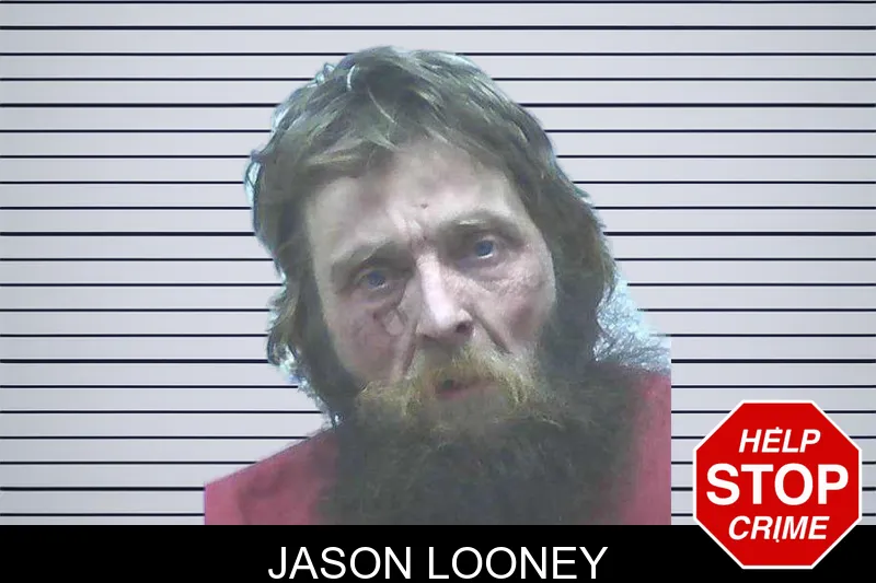 Jason Looney mugshot – Jackson County , Georgia Jason Looney mugshot