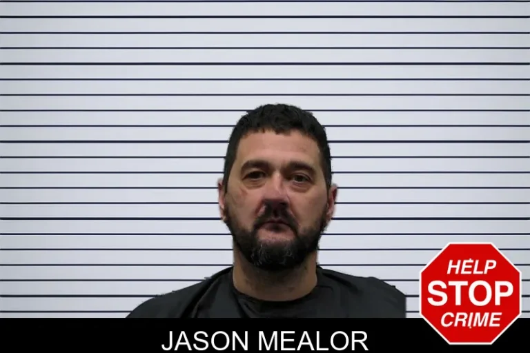 Jason Mealor