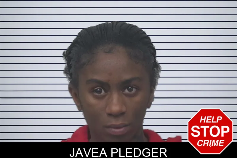 Javea Pledger mugshot