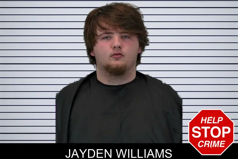 Jayden Williams mugshot