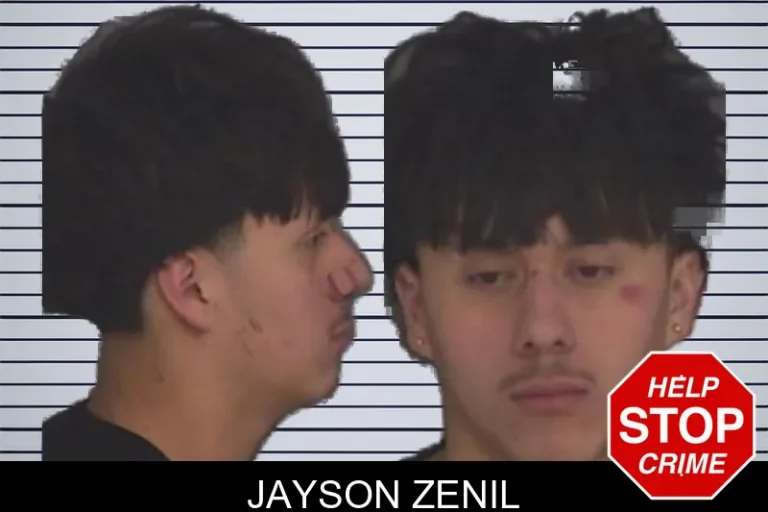 Jayson Zenil