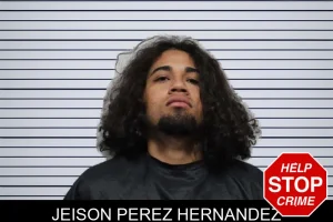 Jeison Perez Hernandez mugshot