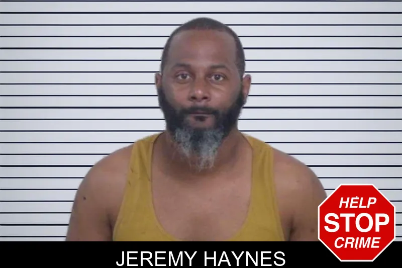 Jeremy Haynes mugshot