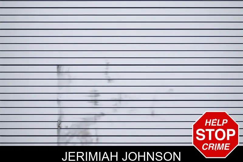 Jerimiah Johnson mugshot